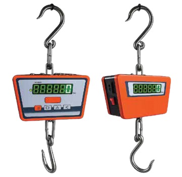 Crane scale